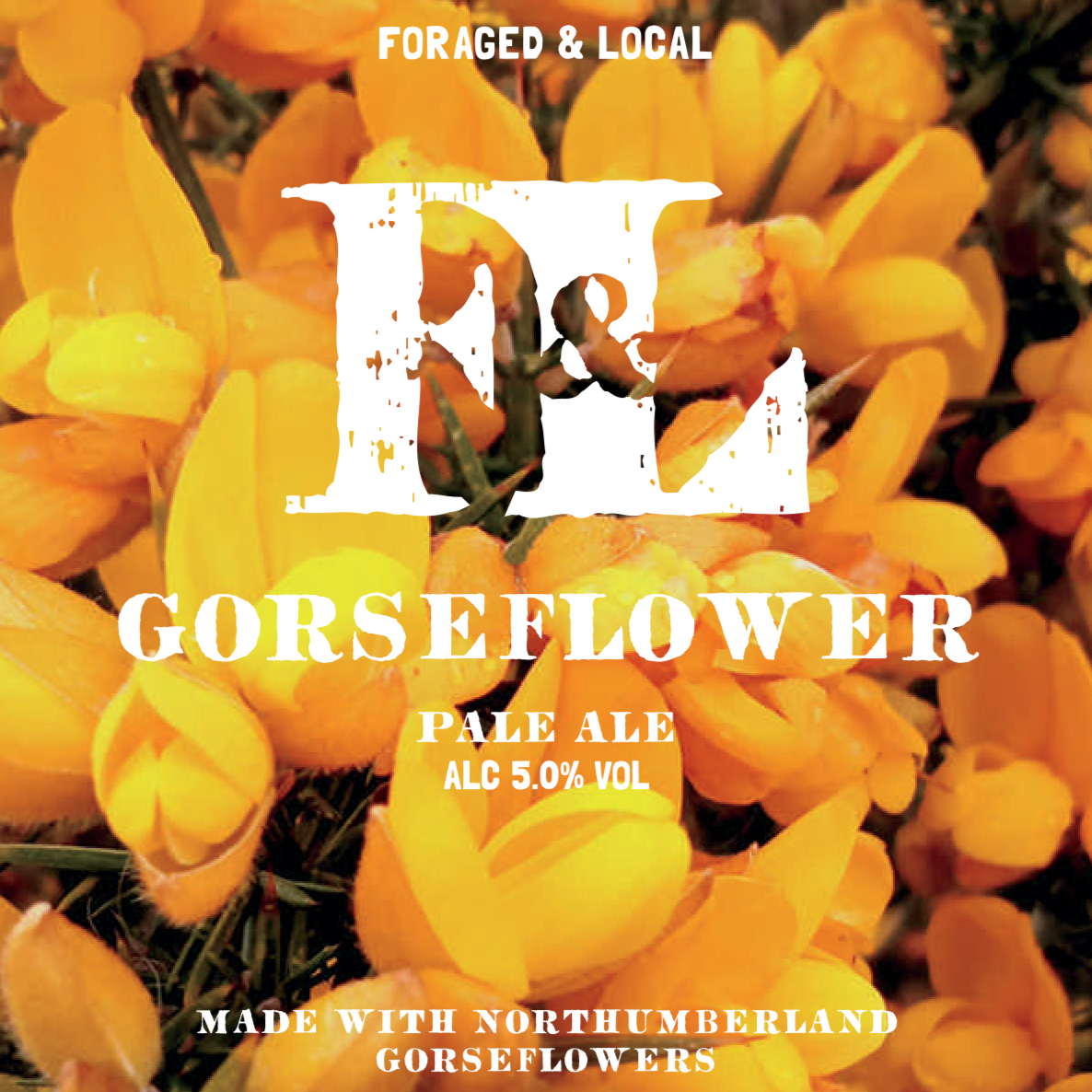 Gorseflower / Foraged Pale  (440ml cans)